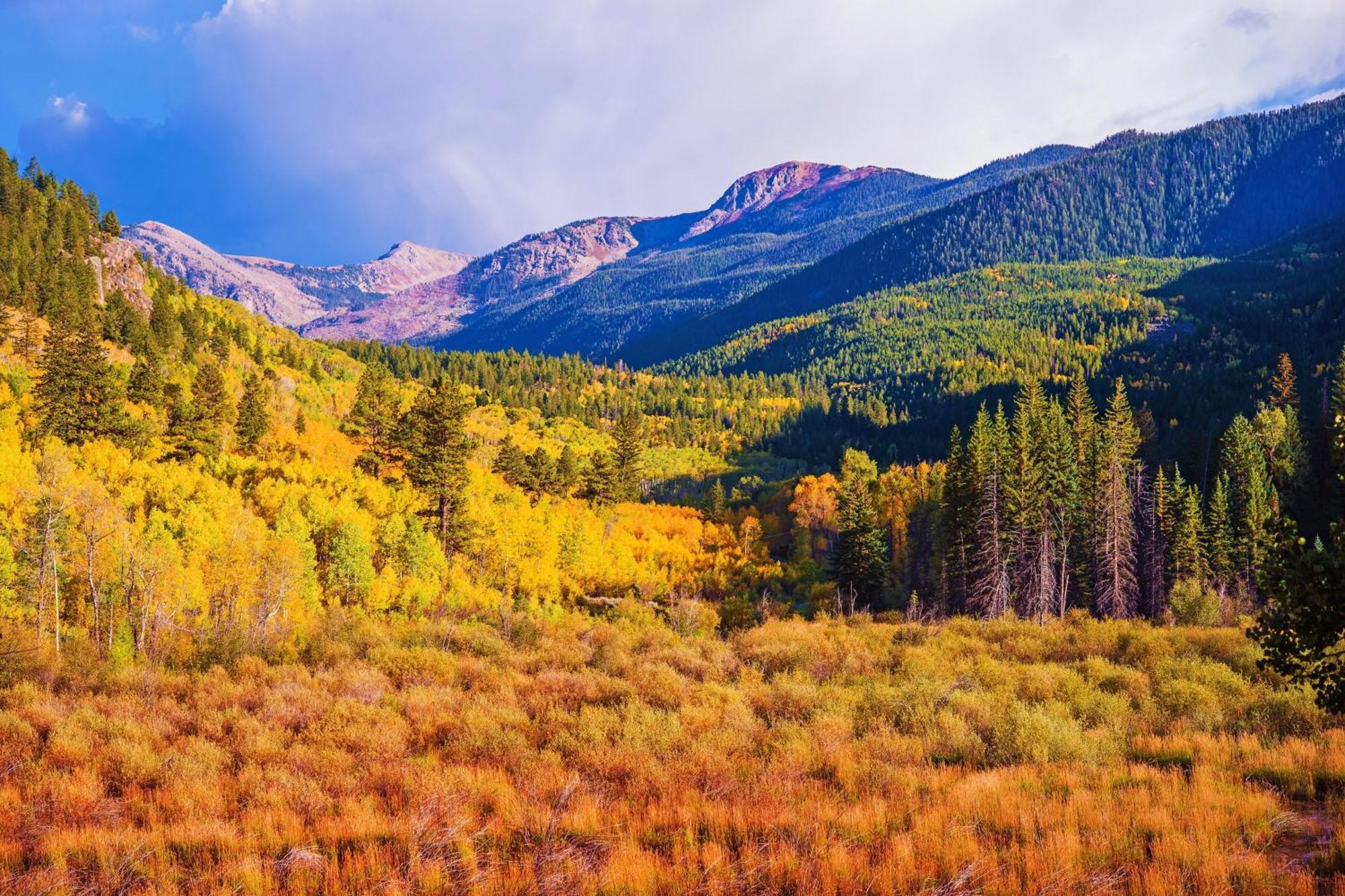 Breakaway West Villa Vail Ruang foto
